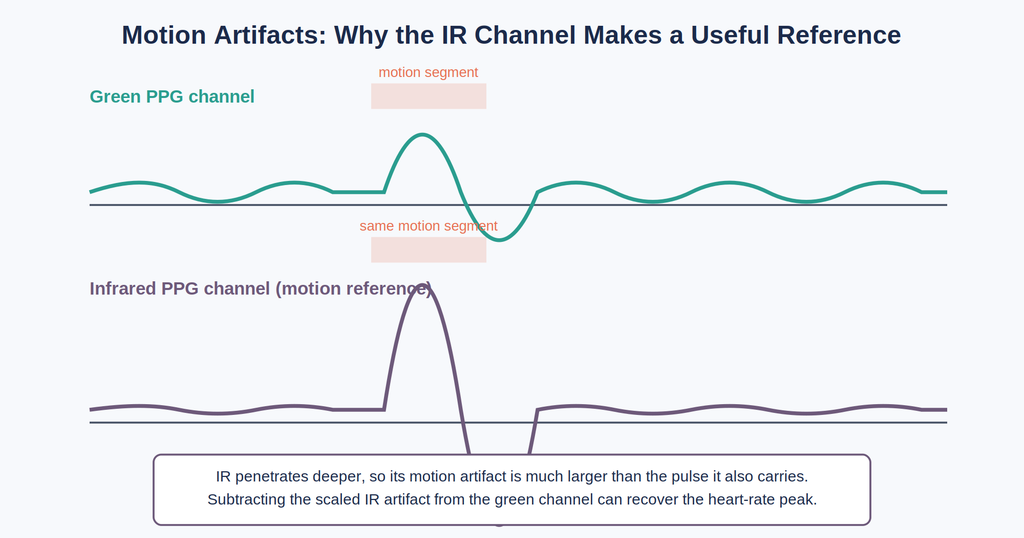 Two stacked waveform charts comparing a green PPG channel and an infrared PPG channel during the same motion event, showing the infrared channel's much larger artifact used as a motion reference