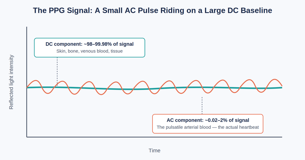 Diagram of how smartwatches measure heart rate: a small pulsatile AC component riding on a large, slowly varying DC baseline in the reflected-light signal