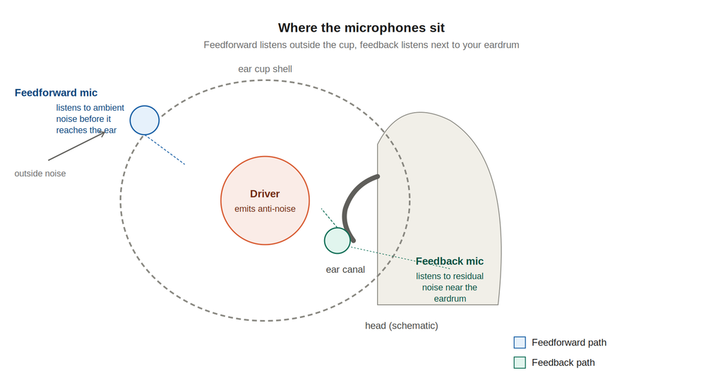 Cross-section showing feedforward and feedback microphone placement in an ANC ear cup